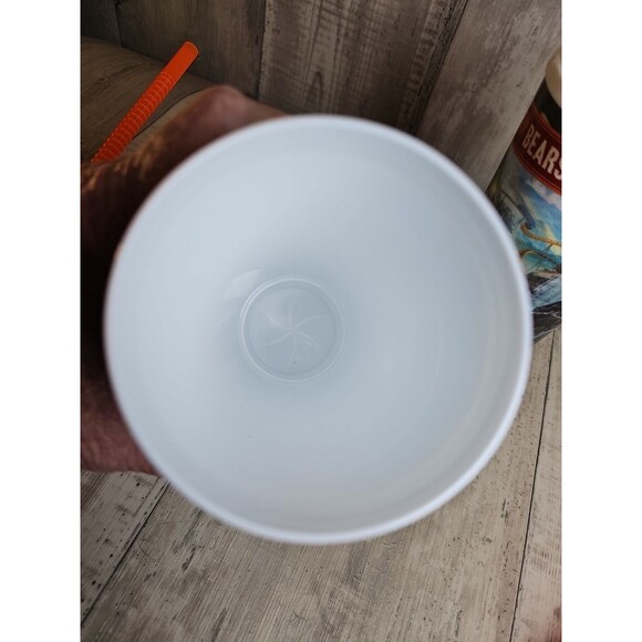 Dollywood Big Bear Mountain Souvenir Tumbler Cups 24oz Pair 2023 Clean - Picture 5 of 8